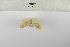 ( - ANHRTUK-00069962)  @11 [ ] Copyright (2021) Unspecified ANHRT
