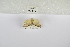  ( - ANHRTUK-00070206)  @11 [ ] Copyright (2021) Unspecified ANHRT
