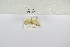  ( - ANHRTUK-00077551)  @11 [ ] Copyright (2021) Unspecified ANHRT