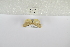  ( - ANHRTUK-00083242)  @11 [ ] Copyright (2021) Unspecified ANHRT