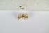 ( - ANHRTUK-00083344)  @11 [ ] Copyright (2021) Unspecified ANHRT
