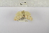  ( - ANHRTUK-00150606)  @11 [ ] Copyright (2021) Unspecified ANHRT