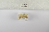  ( - ANHRTUK-00158161)  @11 [ ] Copyright (2021) Unspecified ANHRT