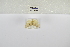  ( - ANHRTUK-00192409)  @11 [ ] Copyright (2021) Unspecified ANHRT