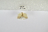  ( - ANHRTUK-00192410)  @11 [ ] Copyright (2021) Unspecified ANHRT
