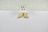  ( - ANHRTUK-00196035)  @11 [ ] Copyright (2021) Unspecified ANHRT