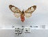  ( - ANHRTUK00000394)  @11 [ ] COPYRIGHT (2021) Unspecified ANHRT