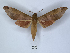  ( - ANHRTUK00000646)  @11 [ ] Copyright (2021) Unspecified ANHRT