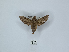  ( - ANHRTUK00002535)  @11 [ ] Copyright (2021) Unspecified ANHRT