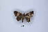  ( - ANHRTUK00002621)  @11 [ ] Copyright (2021) Unspecified ANHRT