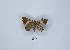  ( - ANHRTUK00002628)  @11 [ ] Copyright (2021) Unspecified ANHRT