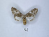  ( - ANHRTUK00003728)  @11 [ ] Copyright (2021) Unspecified ANHRT
