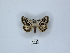  ( - ANHRTUK00006133)  @11 [ ] Copyright (2021) Unspecified ANHRT