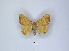  ( - ANHRTUK00006376)  @11 [ ] Copyright (2021) Unspecified ANHRT