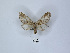  ( - ANHRTUK00006728)  @11 [ ] Copyright (2021) Unspecified ANHRT