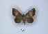  ( - ANHRTUK00006750)  @11 [ ] Copyright (2021) Unspecified ANHRT