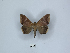  ( - ANHRTUK00006752)  @11 [ ] Copyright (2021) Unspecified ANHRT