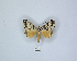  ( - ANHRTUK00006764)  @11 [ ] Copyright (2021) Unspecified ANHRT