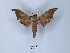  ( - ANHRTUK00007274)  @11 [ ] Copyright (2021) Unspecified ANHRT