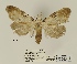  ( - ANHRTUK00011312)  @11 [ ] COPYRIGHT (2021) Unspecified ANHRT