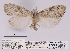  ( - ANHRTUK00011993)  @11 [ ] COPYRIGHT (2021) Unspecified ANHRT