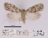  ( - ANHRTUK00011995)  @11 [ ] COPYRIGHT (2021) Unspecified ANHRT