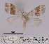  ( - ANHRTUK00012217)  @11 [ ] COPYRIGHT (2021) Unspecified ANHRT