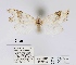  ( - ANHRTUK00012234)  @11 [ ] COPYRIGHT (2021) Unspecified ANHRT