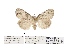  ( - ANHRTUK00013216)  @11 [ ] COPYRIGHT (2021) Unspecified ANHRT