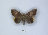  ( - ANHRTUK00015442)  @11 [ ] Copyright (2021) Unspecified ANHRT