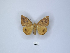  ( - ANHRTUK00015749)  @11 [ ] Copyright (2021) Unspecified ANHRT