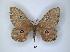  ( - ANHRTUK00016851)  @11 [ ] Copyright (2021) Unspecified ANHRT