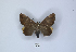  ( - ANHRTUK00017073)  @11 [ ] Copyright (2021) Unspecified ANHRT