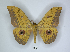  ( - ANHRTUK00017970)  @11 [ ] Copyright (2021) Unspecified ANHRT