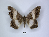  (Uripao - ANHRTUK00018104)  @11 [ ] Copyright (2021) Unspecified ANHRT