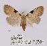  ( - ANHRTUK00019940)  @11 [ ] COPYRIGHT (2021) Unspecified ANHRT