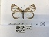  ( - ANHRTUK00019957)  @11 [ ] COPYRIGHT (2021) Unspecified ANHRT