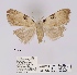  ( - ANHRTUK00019962)  @11 [ ] COPYRIGHT (2021) Unspecified ANHRT