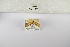  ( - ANHRTUK-00020513)  @11 [ ] Copyright (2021) Unspecified ANHRT