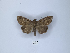  ( - ANHRTUK00023234)  @11 [ ] Copyright (2021) Unspecified ANHRT