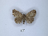  ( - ANHRTUK00023237)  @11 [ ] Copyright (2021) Unspecified ANHRT