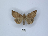  ( - ANHRTUK00023247)  @11 [ ] Copyright (2021) Unspecified ANHRT