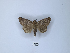  ( - ANHRTUK00023248)  @11 [ ] Copyright (2021) Unspecified ANHRT