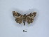  ( - ANHRTUK00023259)  @11 [ ] Copyright (2021) Unspecified ANHRT