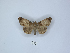  ( - ANHRTUK00023265)  @11 [ ] Copyright (2021) Unspecified ANHRT