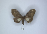  ( - ANHRTUK00024760)  @11 [ ] Copyright (2021) Unspecified ANHRT