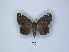  ( - ANHRTUK00027395)  @11 [ ] Copyright (2021) Unspecified ANHRT