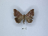  ( - ANHRTUK00031648)  @11 [ ] Copyright (2021) Unspecified ANHRT