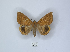  ( - ANHRTUK00033969)  @11 [ ] Copyright (2021) Unspecified ANHRT
