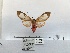  ( - ANHRTUK00034436)  @11 [ ] COPYRIGHT (2021) Unspecified ANHRT